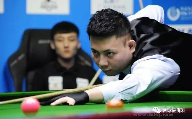 起了灰熊的 起了灰熊的