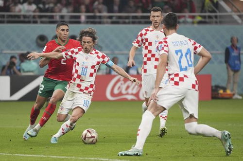 偏向跟注的 偏向跟注的