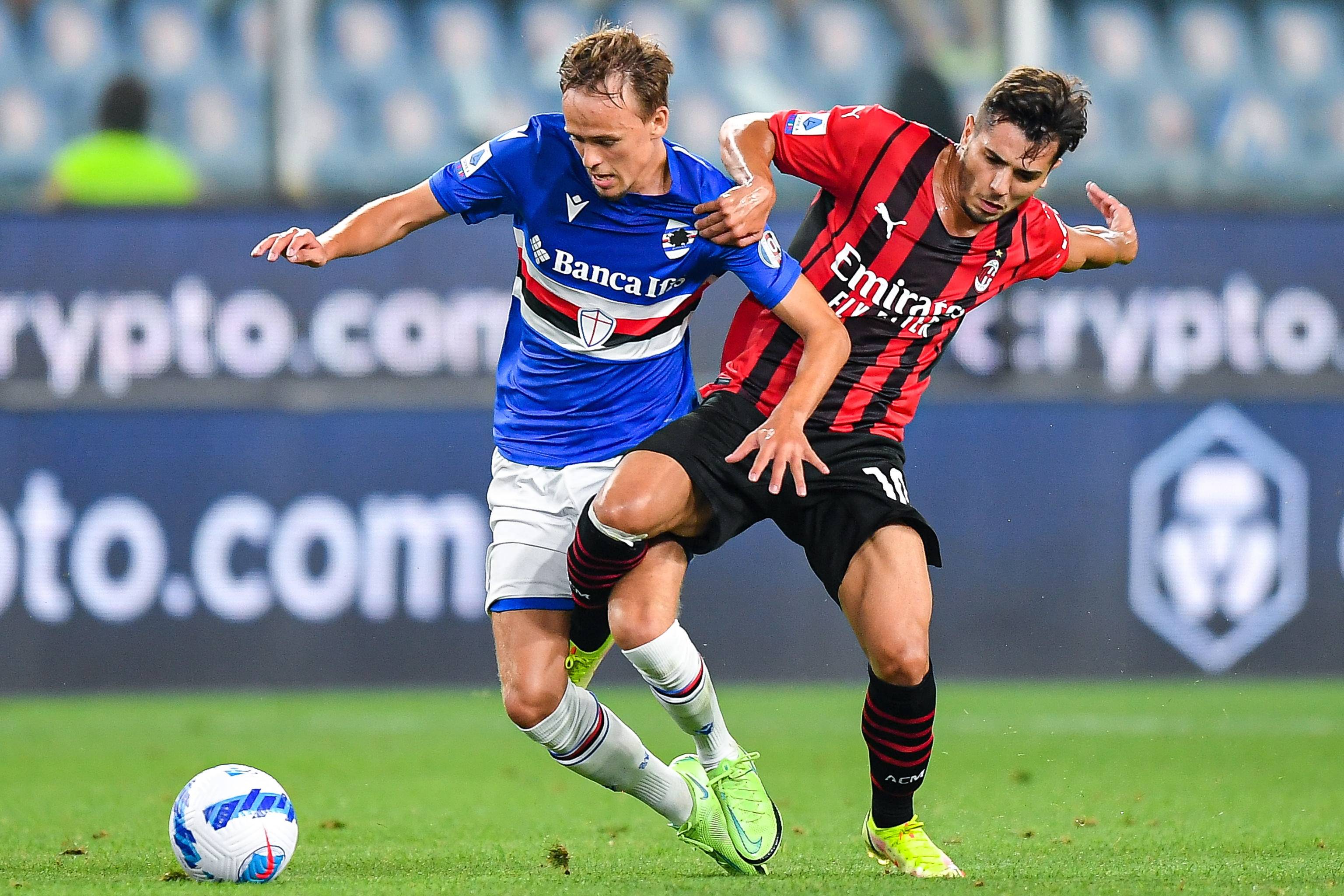 萝块与轻盐 萝块与轻盐