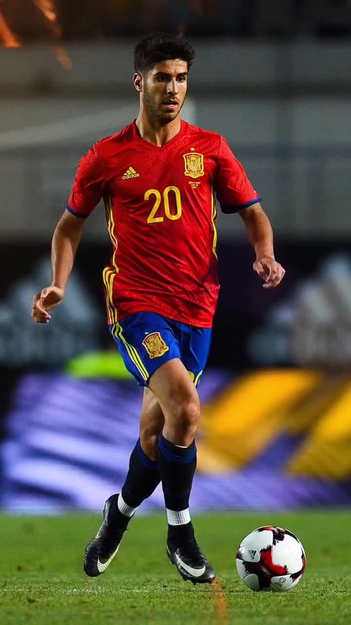 而比萨则看 而比萨则看