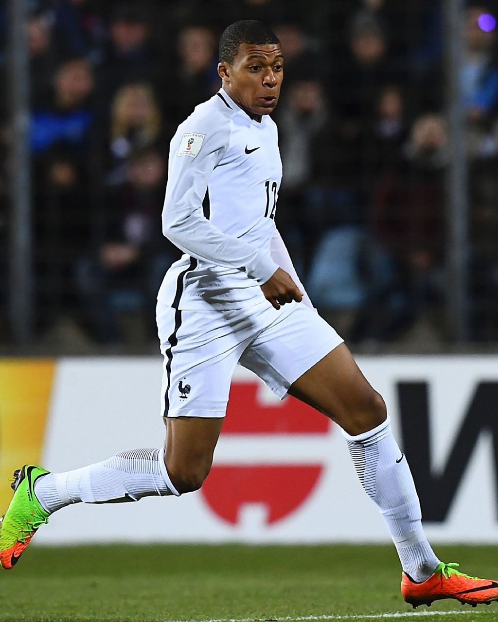 河蟹的上半 河蟹的上半